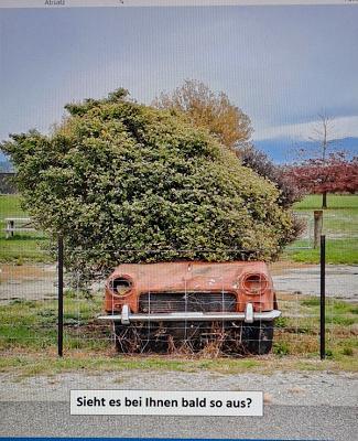 Wir machen’s kurz ! Rasen - Sträucher - Hecken / Landschafts- und Gartenpflege / Rasenroboterservice - Mario Schumann