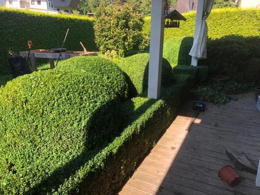 Gartenservice Tobias Olbert
