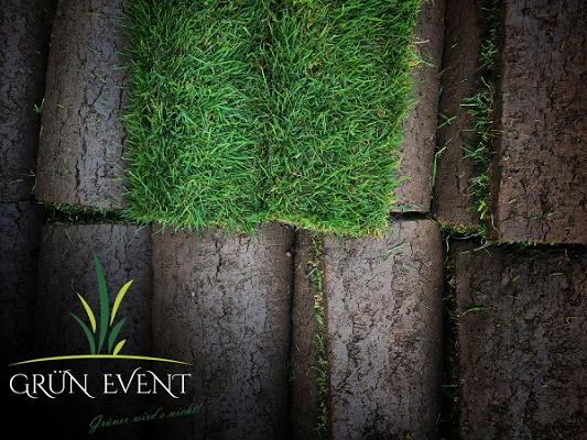 Grün Event Rollrasen