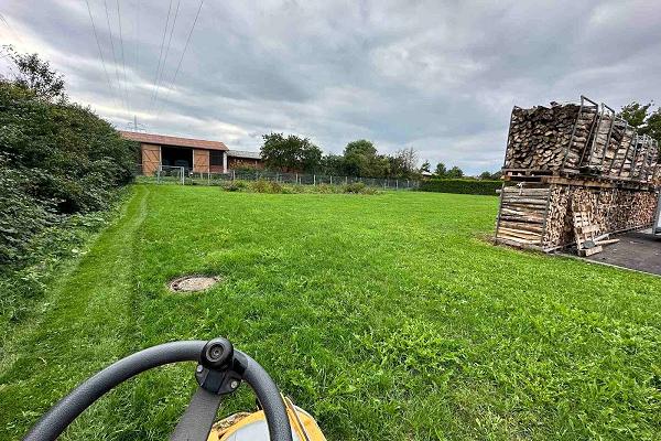 WoodEX Service Wurzelfräsungen Objektpflege Sandreinigung