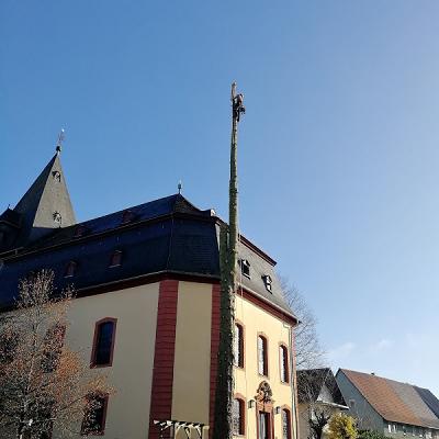 Baumdienste Pfeiffer