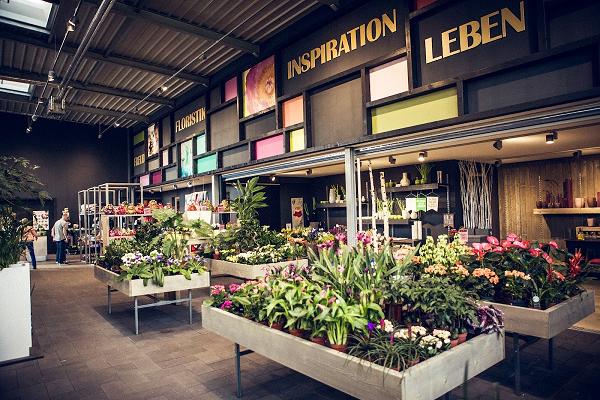 BLUMEN & GARTEN VOLZ GmbH Floristik & Garten- und Landschaftsbau