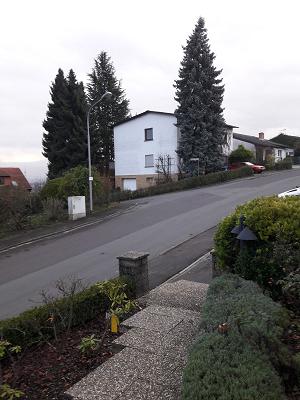 Asan Garten- und Landschaftsbau Meisterbetrieb