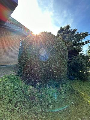 Simons Gartendienste