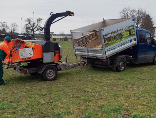 Stefan Lehr Baumfällarbeiten
