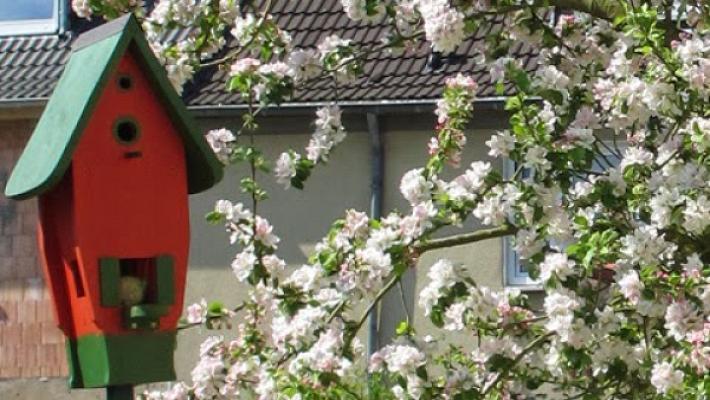 Baumfällung und Pflege Radinger