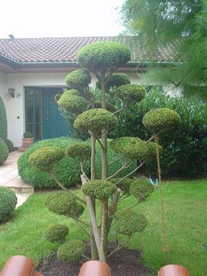 Baumpflege Müller Inh. Mathias Müller