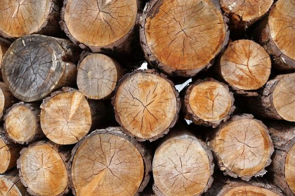 Garten- & Gehölzpflege Sören Wansel