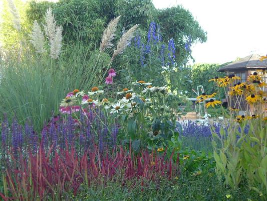 Stauden-Volkmann // Gartenbaubetrieb - Staudenkulturen