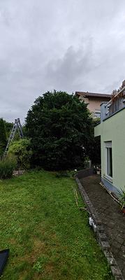 Baum und Gartendienst Schmidt