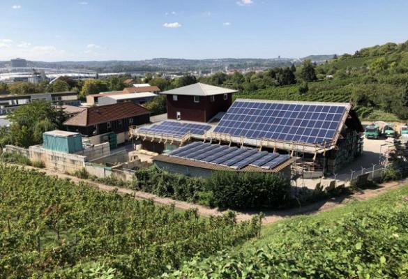 Rolf Lehmann Garten- und Landschaftsbau