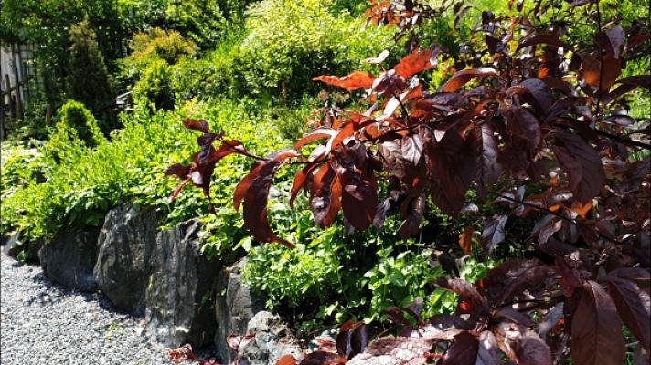 Sven Machura Garten und Landschaft
