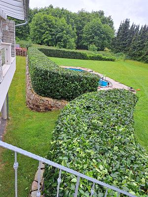 Garten und Landschaftsbau Moradi