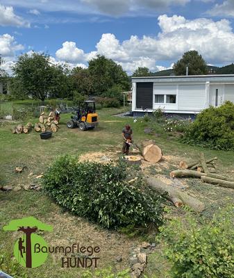 Baumpflege Hündt, Blumenhaus und Gärtnerei