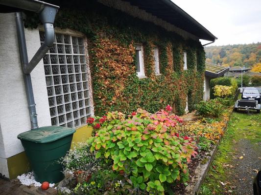 Waegner-Service Haus & Garten