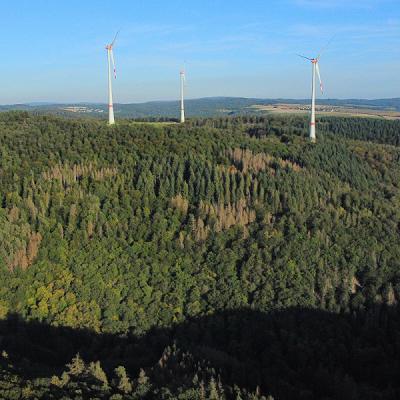 Wagner Haus & Garten Service