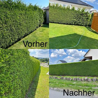 Vogelsberger Garten & Hausmeisterservice + Gebäudereinigung