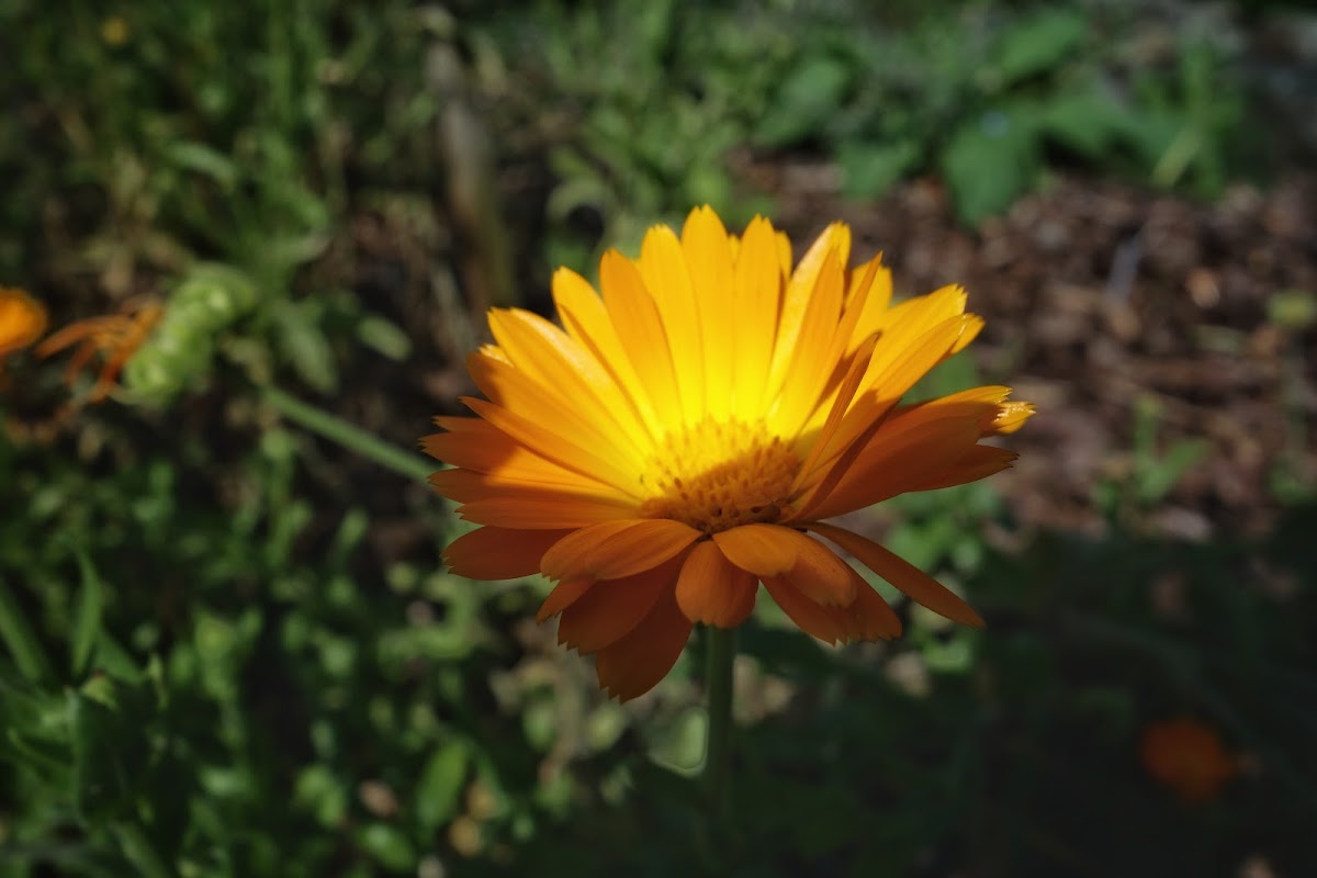 682e9d9151789