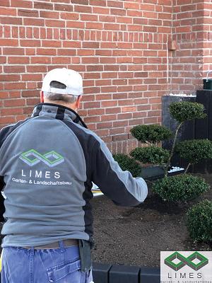 Limes Garten- und Landschaftsbau