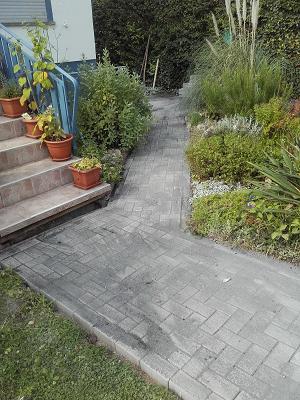 682e9dfa6526f
