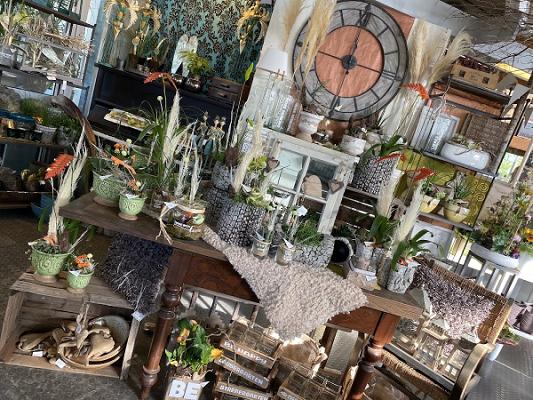 Blumen Schardt - Florales & Gestaltung