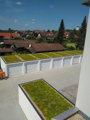 Sven Kramer Der Dachbegrüner und Gärtner | Villmar