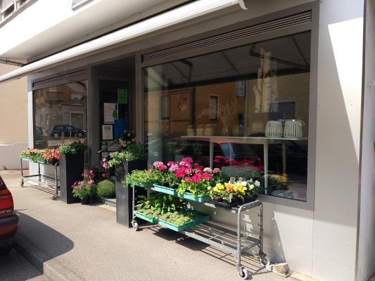 Gärtnerei Moser GbR