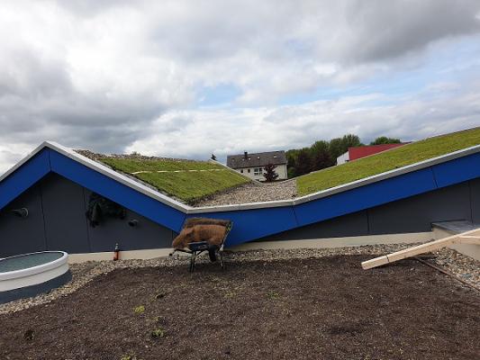 Steuber Garten- und Landschaftsbau GmbH