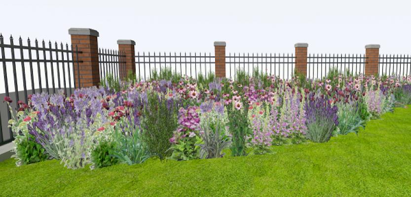 Team Faqiri(TF-S)_Garten und Landschaftsbau