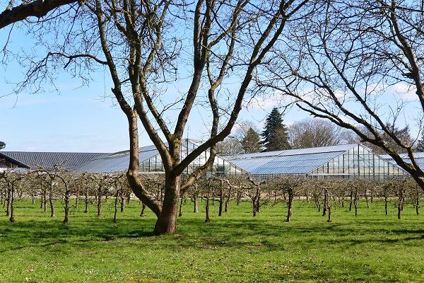 Kasseler Werkstatt Gartenbau