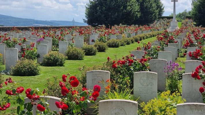 Stephan Mainhardt Gartenpflege