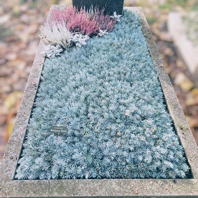 Friedhofsgärtnerei Wolfgang Moser