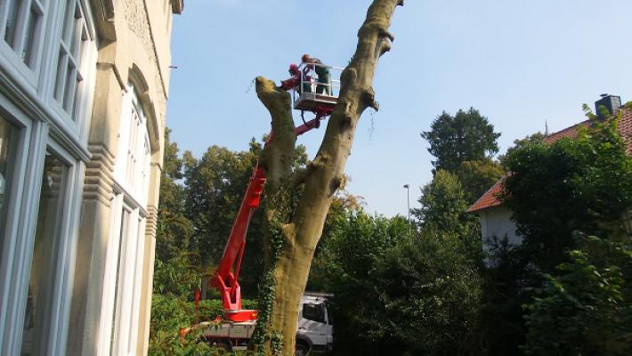 Klaus Weise Forst- und Gartendienstleistungen