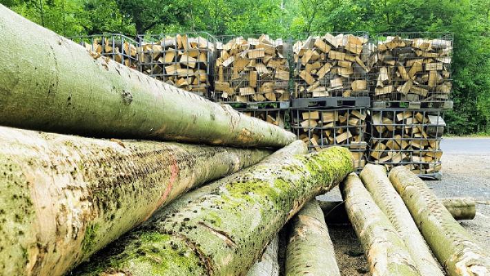 BRENNholz Malsfeld GbR