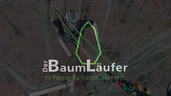 Der Baumläufer e.k. - Sebastian Möller Dipl. Ing. (FH) FLL-zertifizierter Baumkontrolleur