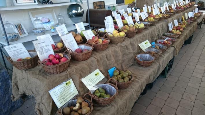 Baumschule SPIESS Gartengestaltung und Pflanzenvertriebs GmbH