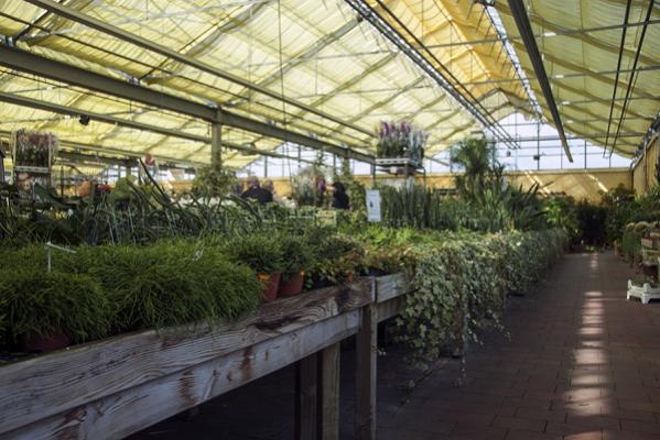 Gartencenter Meckelburg