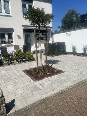 SD Garten & Baumpflege