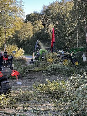 Mette Baum- und Gartenpflege, RUF Holzbriketts
