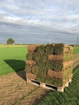 Rollrasen & Dachbegrünung (Thomas Juzeler KG)