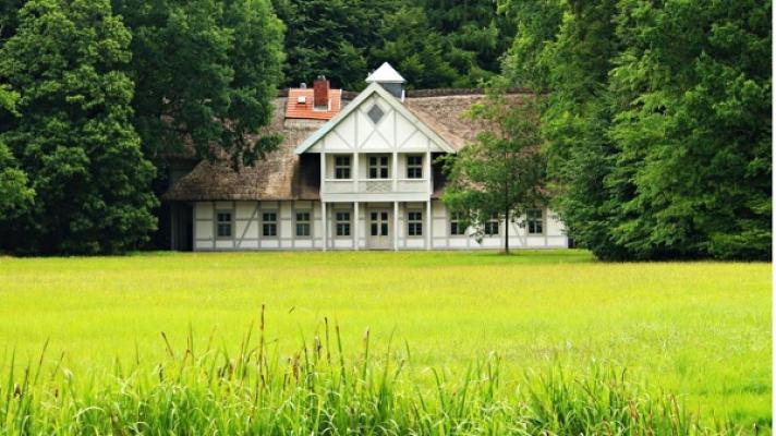 Die Baumprofis - Baumfällungen, Rasenpflege, Gartenpflege