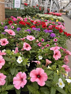 Gartenbau Winkler, Außerhalb Hergershausen 11, 64832 Babenhausen-Hergershausen,