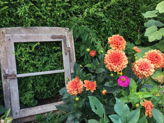 Pascal's Gartenpflege & Gestaltung