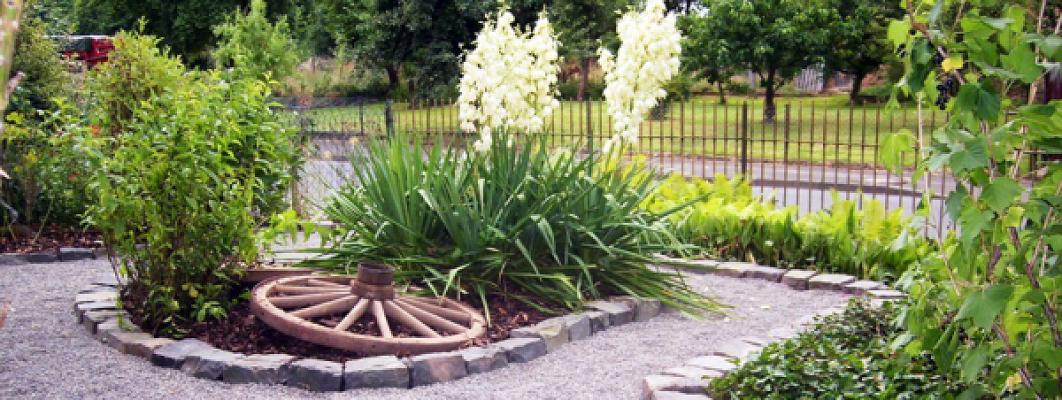 Der Gartenbiber