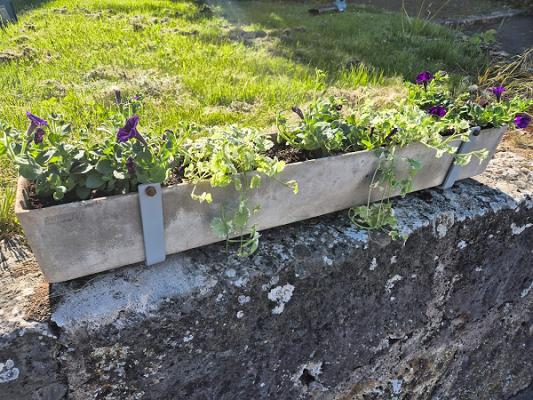 Floristik by Florian