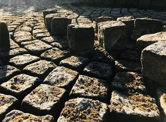 Benedict Garten- und Landschaftsbau