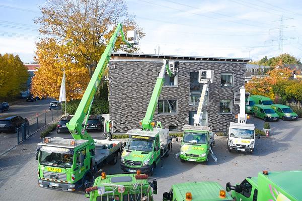 Blume Garten - und Landschaftsbau GmbH & Co. KG Baumpflege