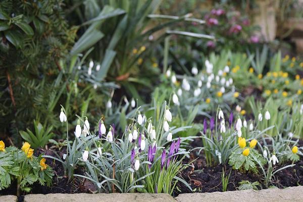 Petersen-Frey Garten- und Landschaftsbau GmbH