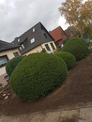 Marcin Häsler -Garten- und Landschaftsbau