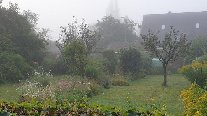 Gartenverein "Unter den Linden"